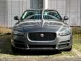Jaguar XE 20d 180PS Prestige Automatik, Navi, Leder Gris - thumbnail 2