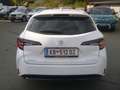 Suzuki Swace 1,8 HEV E-CVT Shine Blanc - thumbnail 3