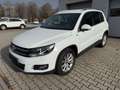 Volkswagen Tiguan Lounge Sport & Style I R-Kamera I Navi Weiß - thumbnail 3