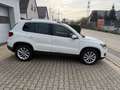 Volkswagen Tiguan Lounge Sport & Style I R-Kamera I Navi Weiß - thumbnail 8