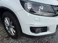 Volkswagen Tiguan Lounge Sport & Style I R-Kamera I Navi Weiß - thumbnail 17