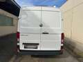 Volkswagen Crafter Crafter 30 Kasten MR L3H2 2,0-I-TDI Entry Weiß - thumbnail 6