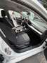 Volkswagen Golf 1.0 eTSI DSG 81kW Blanco - thumbnail 19