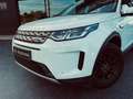 Land Rover Discovery Sport 2.0TD4 Pure 4x4 150 Blanco - thumbnail 5