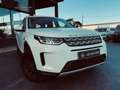 Land Rover Discovery Sport 2.0TD4 Pure 4x4 150 Blanco - thumbnail 11
