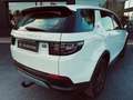 Land Rover Discovery Sport 2.0TD4 Pure 4x4 150 Blanco - thumbnail 7