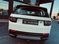 Land Rover Discovery Sport 2.0TD4 Pure 4x4 150 Blanco - thumbnail 13