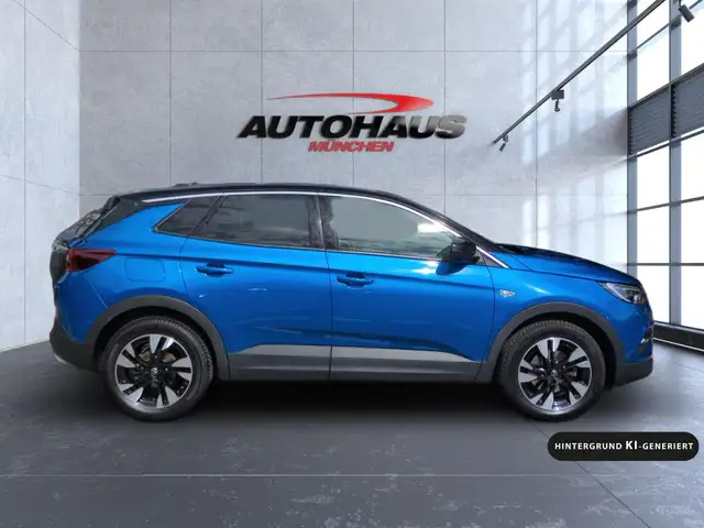 Opel Grandland X view 10