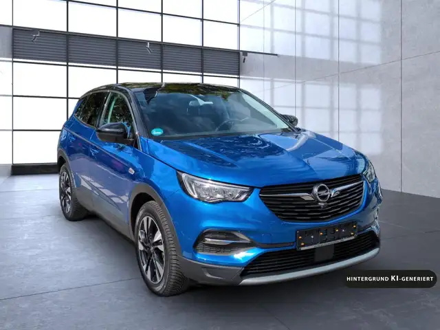 Opel Grandland X view 8