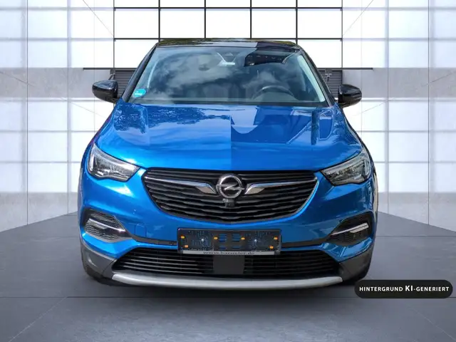 Opel Grandland X view 9