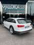 Audi A6 Allroad Wit - thumbnail 6