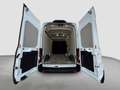 Ford Transit Kasten 350 L3H3 Trend Standheiz.|Winter. Blanc - thumbnail 17