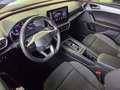 SEAT Leon 1.5 eTSI S&S FR Launch Pack L DSG-7 150 Burdeos - thumbnail 11