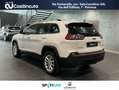 Jeep Cherokee 2.2 Mjt II 4WD 195Cv Longitude Bianco - thumbnail 7