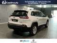 Jeep Cherokee 2.2 Mjt II 4WD 195Cv Longitude Bianco - thumbnail 5