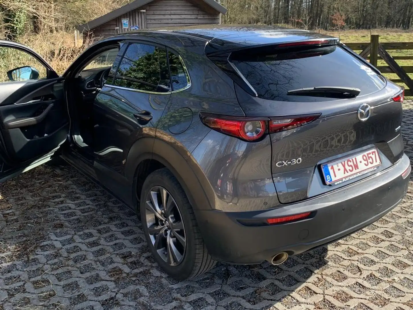 Mazda CX-30 CX-30+SKYACTIV-X+2.0+M-Hybrid+AWD+Aut.+SELECTION Gris - 2