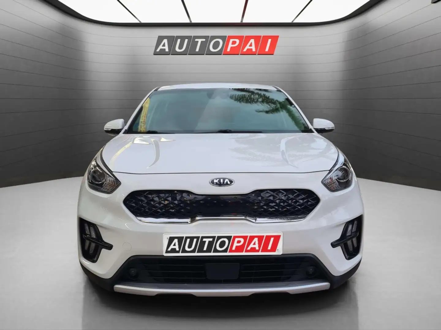 Kia Niro 1.6 PHEV Concept Blanco - 2