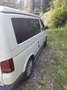 Volkswagen T5 Multivan PanAmericana mit 2025 nachgerüstetem Aufstelldach (REIMO) Weiß - thumbnail 3