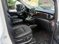 Mercedes-Benz V 250 BlueTEC 4MATIC Avantgarde A-Edition lang Aut. Weiß - thumbnail 12