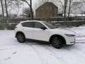 Mazda CX-5 2.2 SKYACTIV-D 4WD Prestige Edition Blanc - thumbnail 4