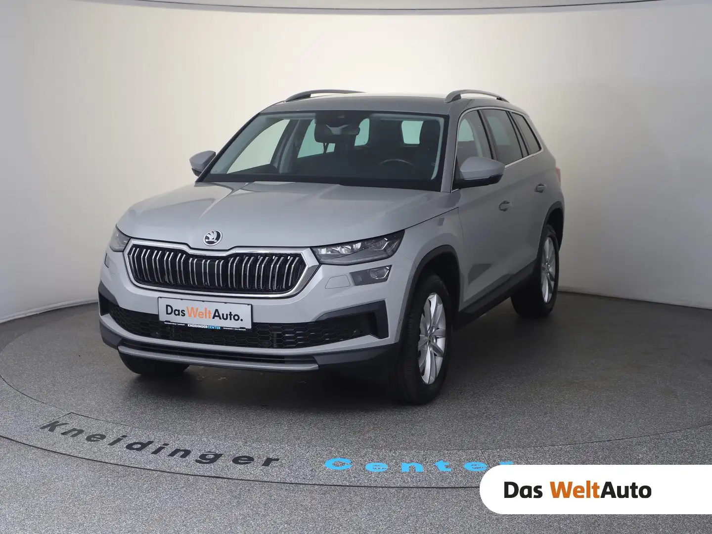 Skoda Kodiaq 4x4 Style TDI SCR DSG Grau - 1