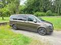Mercedes-Benz V 250 V-Klasse Diesel 250d lang Avantgarde Edition Brun - thumbnail 45