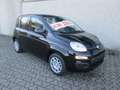 Fiat Panda Pandina 1.0 firefly hybrid Icon  PREZZO REALE Nero - thumbnail 2