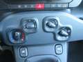 Fiat Panda Pandina 1.0 firefly hybrid Icon  PREZZO REALE Nero - thumbnail 11