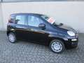 Fiat Panda Pandina 1.0 firefly hybrid Icon  PREZZO REALE Nero - thumbnail 5