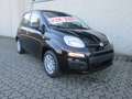Fiat Panda Pandina 1.0 firefly hybrid Icon  PREZZO REALE Nero - thumbnail 6