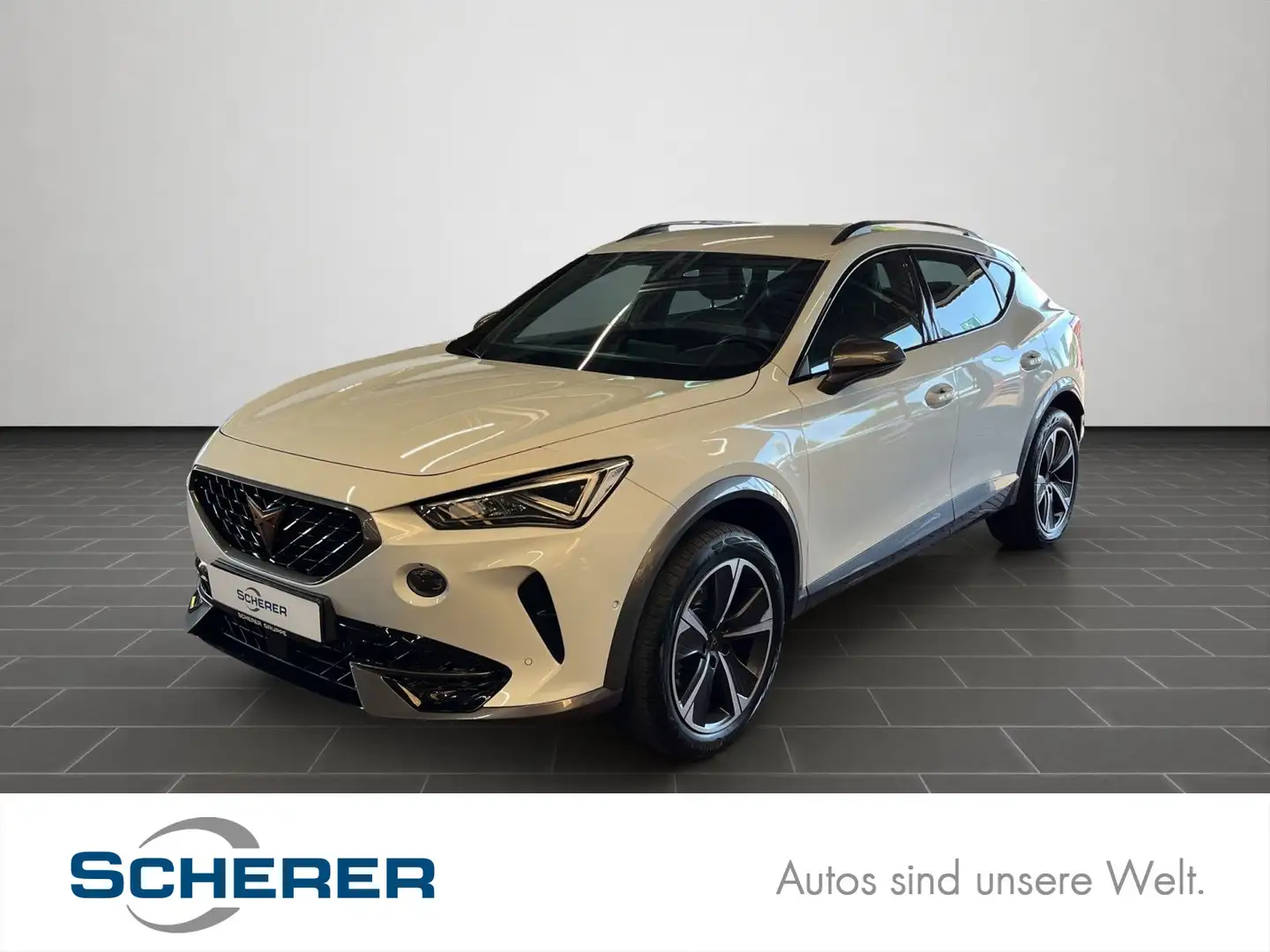 CUPRA Formentor 2.0 TDI DSG 4x4 Navi, RFK, AHK, Full L Weiß - 1