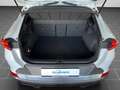 CUPRA Formentor 2.0 TDI DSG 4x4 Navi, RFK, AHK, Full L Weiß - thumbnail 15