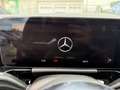 Mercedes-Benz B 250 B -Klasse B 250 4Matic Silber - thumbnail 13