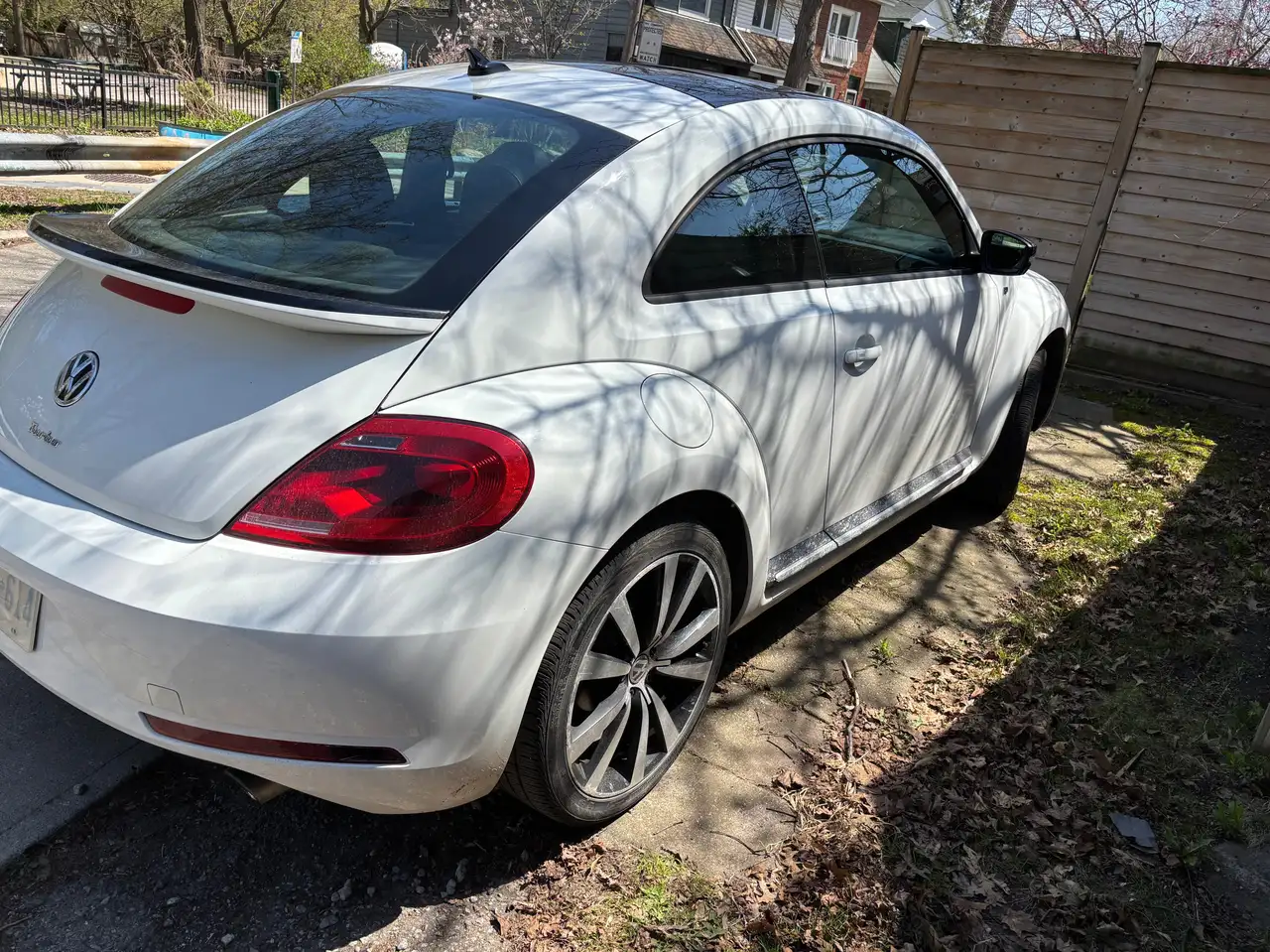 Volkswagen Beetle снимка Volkswagen Beetle