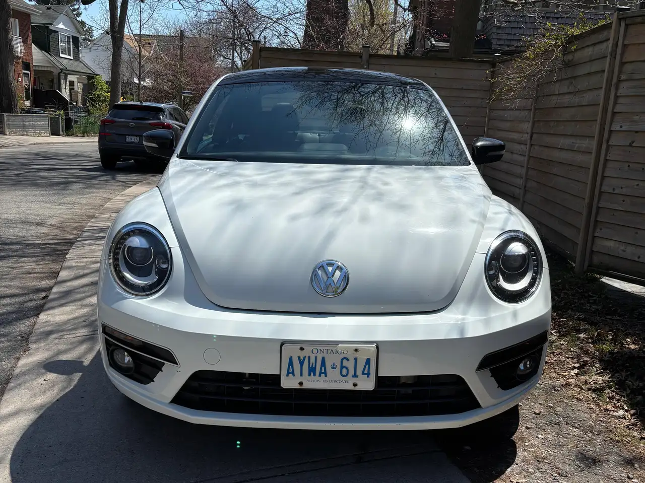 Volkswagen Beetle снимка Volkswagen Beetle