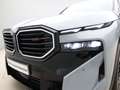 BMW XM PHEV Label Red 30 kWh Grijs - thumbnail 20