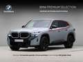 BMW XM PHEV Label Red 30 kWh Grijs - thumbnail 1
