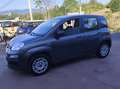 Fiat Panda Panda III 2016 1.2 Lounge easypower Gpl 69cv my19 - thumbnail 6