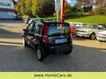 Fiat Panda 1.2 8V Climbing 4X4 - 1. HAND Noir - thumbnail 10