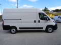 Fiat Ducato 2.3MJT 140cv PM-TM Bianco - thumbnail 4