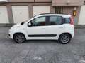 Fiat Panda Panda III 2012 1.2 Easy 69cv E6 Weiß - thumbnail 1