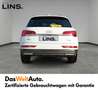 Audi Q5 40 TDI quattro intense Weiß - thumbnail 4