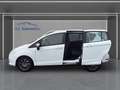Ford B-Max B-MAX Trend Wagen Nr 021 Alb - thumbnail 6