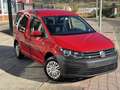 Volkswagen Caddy VOLKSWAGEN -  - Trendline Bluemotion 2.0 TDI Rot - thumbnail 17