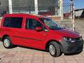 Volkswagen Caddy VOLKSWAGEN -  - Trendline Bluemotion 2.0 TDI Rot - thumbnail 38