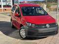 Volkswagen Caddy VOLKSWAGEN -  - Trendline Bluemotion 2.0 TDI Rot - thumbnail 42