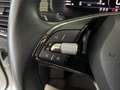 Skoda Kodiaq 1.5 TSI Style Virtual Navi Kamera ACC Blanco - thumbnail 20