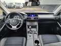 Lexus IS 300 300h Hybrid Business Line Afn. Trekhaak, Navigatie Grijs - thumbnail 24