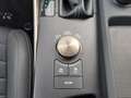 Lexus IS 300 300h Hybrid Business Line Afn. Trekhaak, Navigatie Grau - thumbnail 38