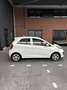 Kia Picanto 1.0 CVVT Comfort P. Wit - thumbnail 8